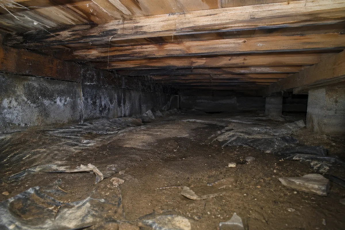 Unencapsulated crawl space with bare dirt floor, moisture staining on joists, and torn plastic sheeting